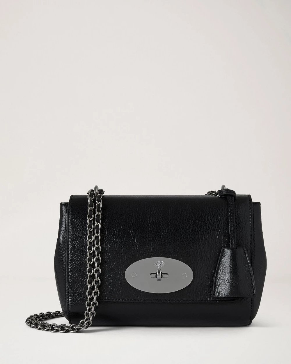 Lily - Image 5